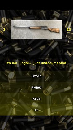 Modern Combat Shotgun Quiz - Screenshot 2