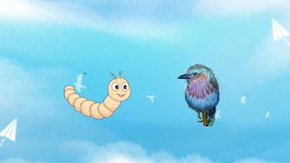 Choose Bird - Screenshot 2