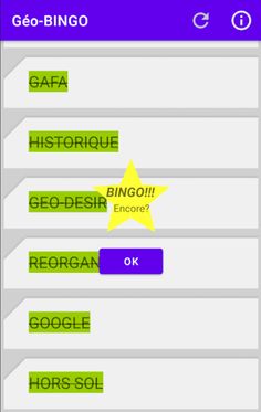 GéoBingo - Screenshot 2
