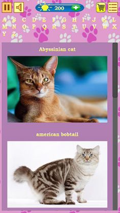 Cats Quiz - Screenshot 4