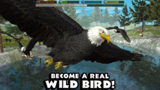 Ultimate Bird Simulator - Screenshot 3