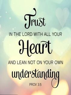 SDA Sabbath School Quarterly - Screenshot 4