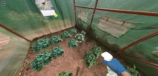 Greenhouse Simulator VR Game - Screenshot 3