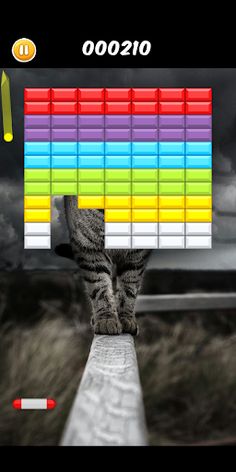 Breakout Cats - Screenshot 1