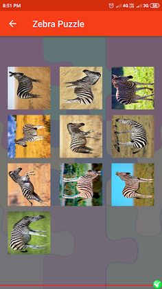 Zebra Puzzle - Screenshot 4