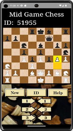 MidGameChess - Screenshot 1