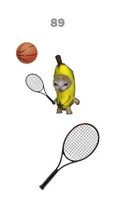 Cat Meow Tennis: Sport Battle - Screenshot 2