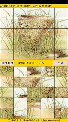 ttp10 - Screenshot 2