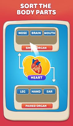 Body Parts Games Kids Learning - Screenshot 2