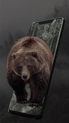 VodkaAR - Screenshot 4