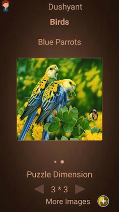 Puzzler - Screenshot 3