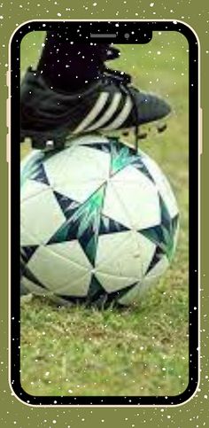 Botse act online 88 - Screenshot 2