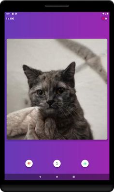 Swipe the Kitten - Screenshot 4