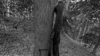 Wardwell House - Screenshot 1