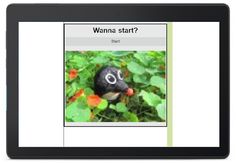 HitKurmis!Why?CuzWhyNot? - Screenshot 2