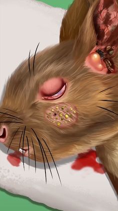 Animal Clinic - Hospital - Screenshot 4