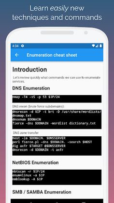Learn Pentesting like a Pro! - Screenshot 2