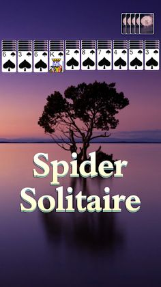 Solitaire Collection Pro - Screenshot 2