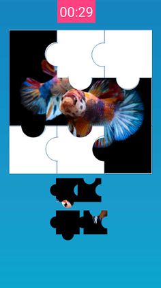 Betta Fish Puzzle - Screenshot 3