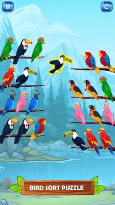 Bird Sort Puzzle Sort Games - Screenshot 2