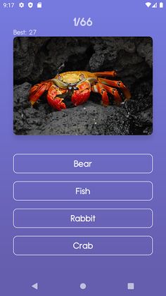 Animal Quiz - Screenshot 4