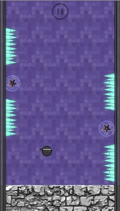 Ninja 314 - Screenshot 2