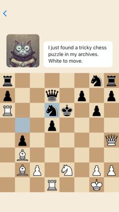 Chess Cats - Screenshot 4