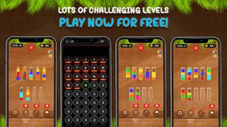 Color Water Sort Puzzle Game - Screenshot 3
