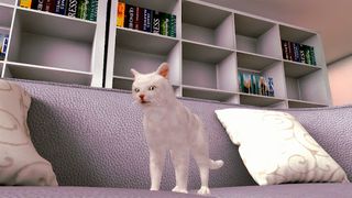 Talking Burmese Cat - Screenshot 2