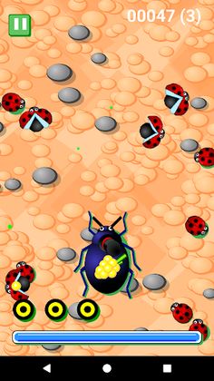 Crawl Mr. Beetle - Screenshot 3