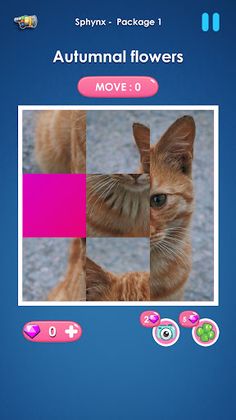 Cat slide puzzle: piece match - Screenshot 3