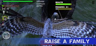 Owl Hunting Journey - Screenshot 2