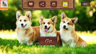 Corgi Dog Simulator - Screenshot 2