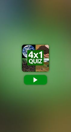 QUIZ GAME - Screenshot 3
