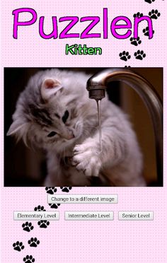 Puzzlen : Kitten - Screenshot 1