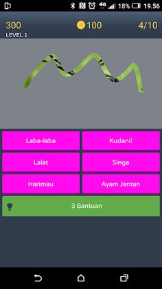 Tebak Gambar Binatang - Screenshot 3