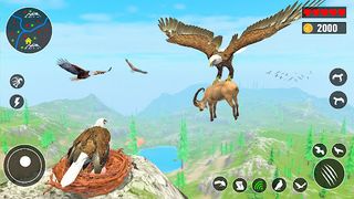 Eagle Simulator - Eagle Games - Screenshot 2