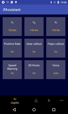 In-Flight Assistant - Screenshot 1