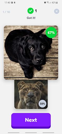 Choosly lite - Screenshot 3