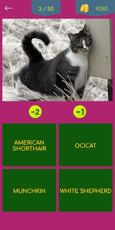 Cat & Dog Breeds Quiz - Screenshot 4
