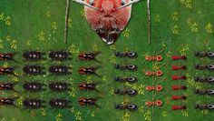 Ants Underground Kingdom Life - Screenshot 4