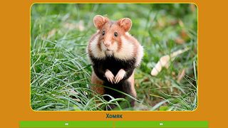 Животные для малышей - Screenshot 3