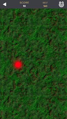 Laser Pointer for Dogs - Screenshot 2