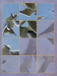 Spin Puzzle Pro - Screenshot 4