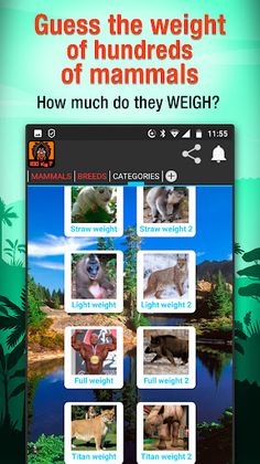 Animal weight Quiz - trivia - Screenshot 1