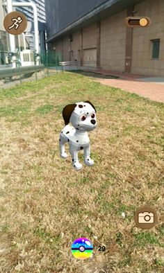 My Animals GO - Screenshot 4