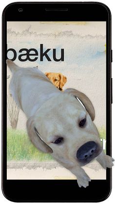 Diidxa - Screenshot 4