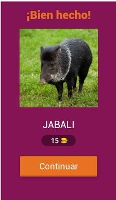 1 imagen 1 palabra Quiz 2023 - Screenshot 2