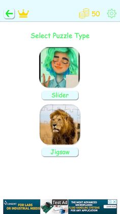 Challenge Puzzle: Mystery - Screenshot 1