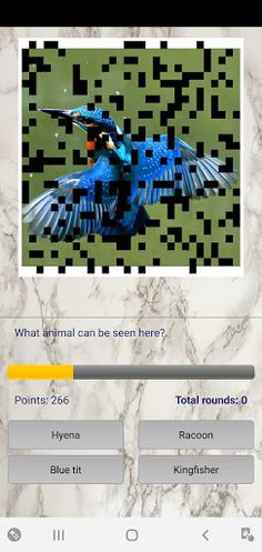 Photo Quiz - Screenshot 3